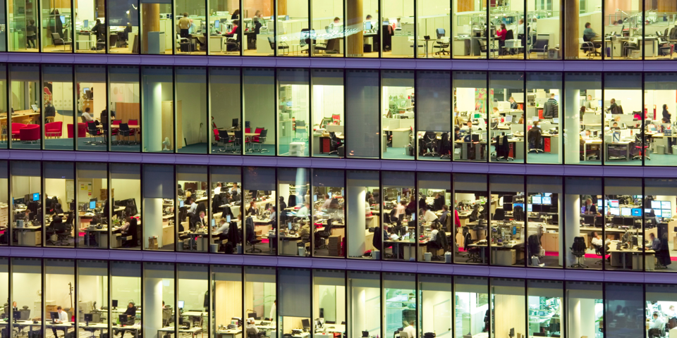 What insurance do you need when growing your business?