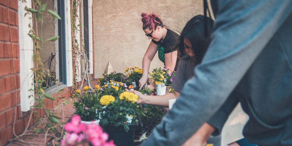 Could your insurer help you reduce your carbon footprint?