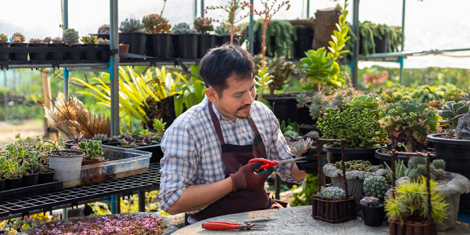 What to know about business interruption insurance this bushfire season